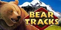 Bear Tracks kostenloser Spielautomat ohne Registrierung